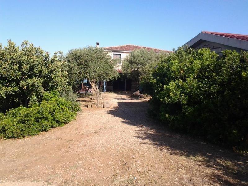 Agriturismo Sa Murta In Sennariolo-Oristano מראה חיצוני תמונה