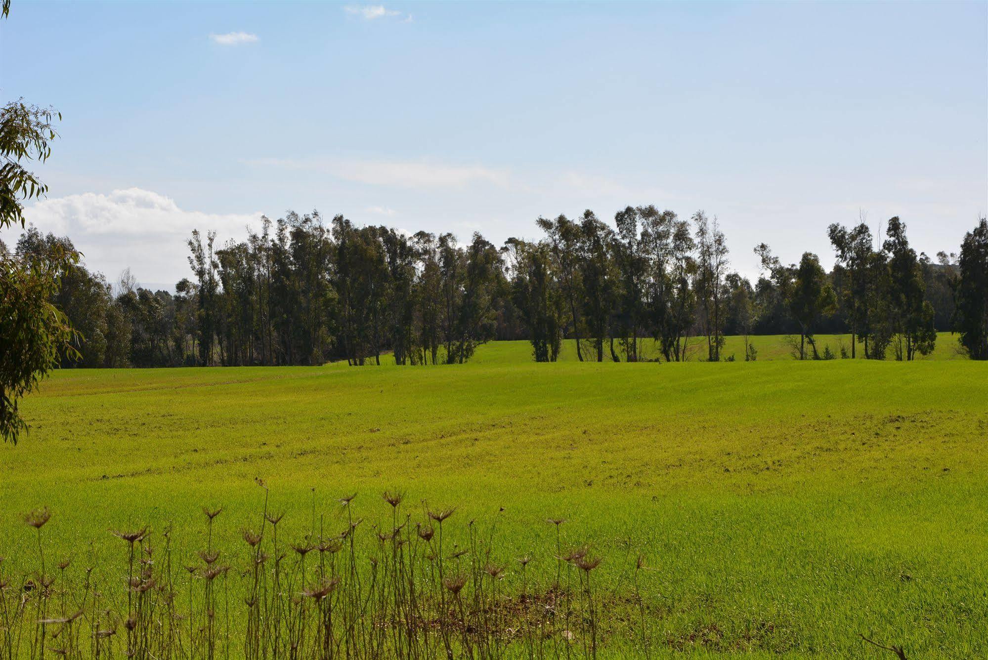 Agriturismo Sa Murta In Sennariolo-Oristano מראה חיצוני תמונה