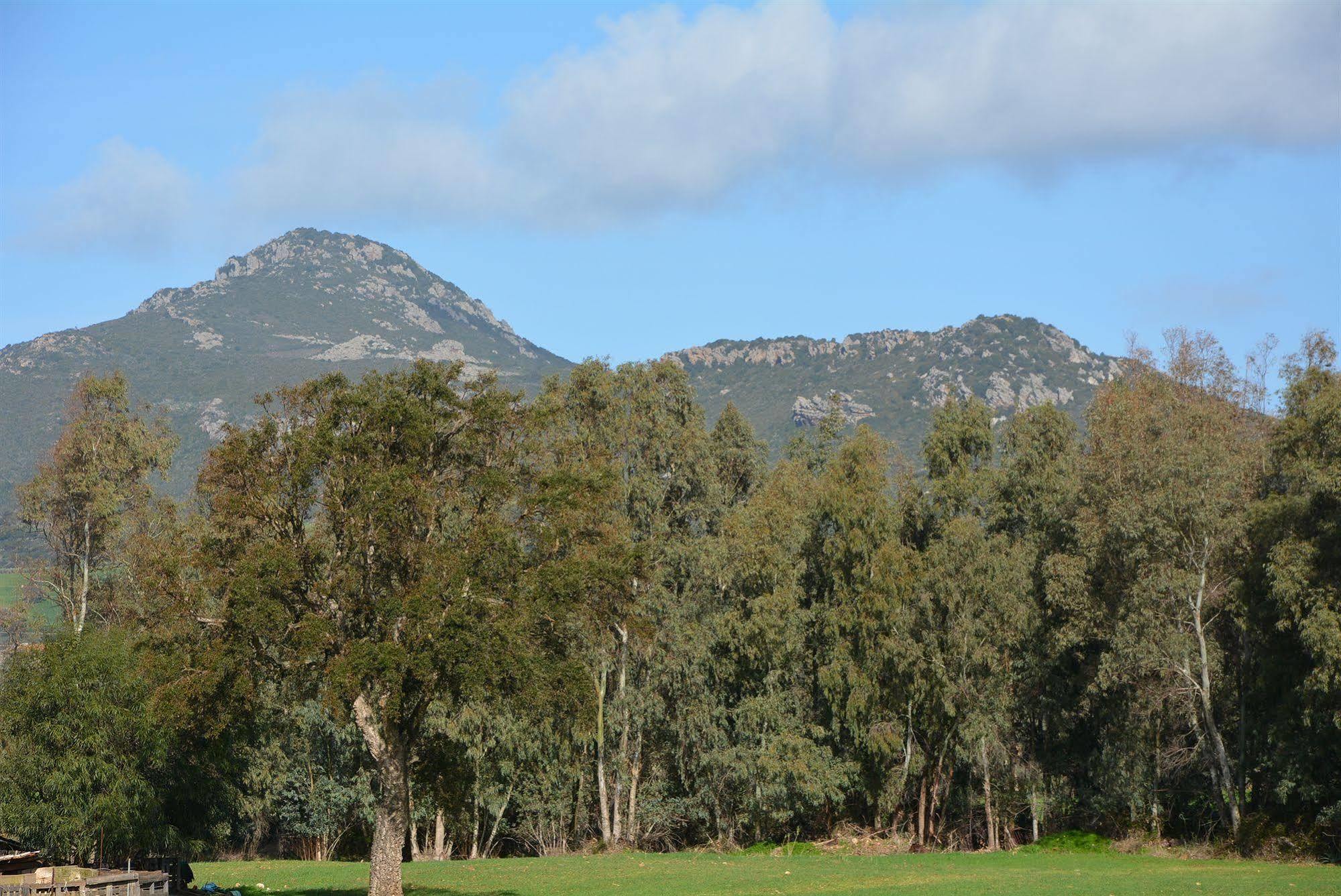 Agriturismo Sa Murta In Sennariolo-Oristano מראה חיצוני תמונה