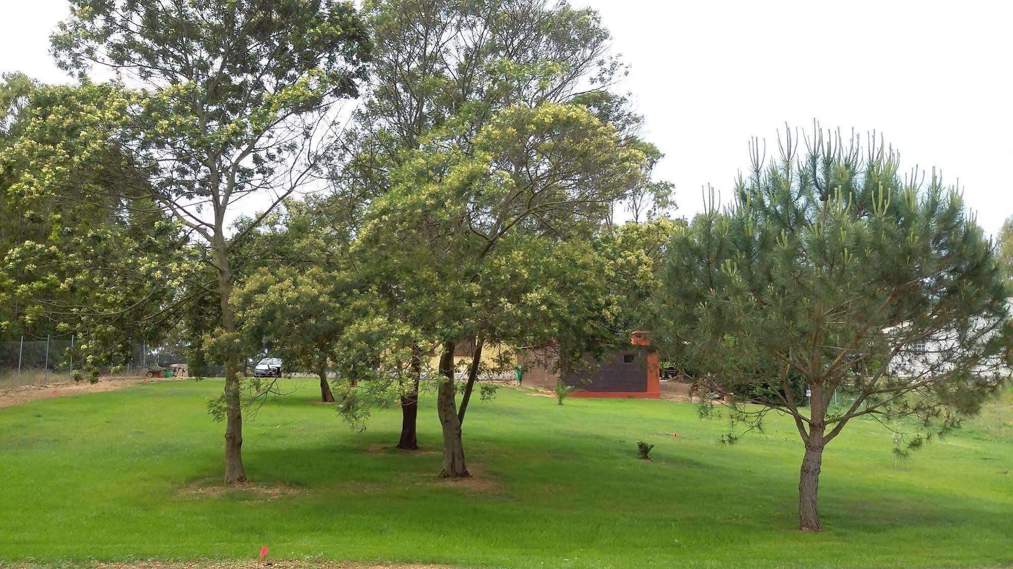 Agriturismo Sa Murta In Sennariolo-Oristano מראה חיצוני תמונה