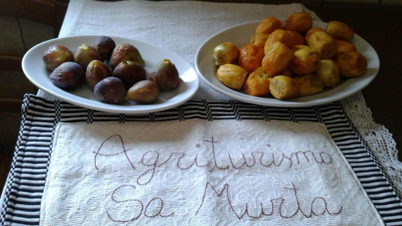 Agriturismo Sa Murta In Sennariolo-Oristano מראה חיצוני תמונה